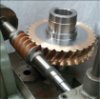 Worm gears